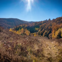 zakordonni_karpaty