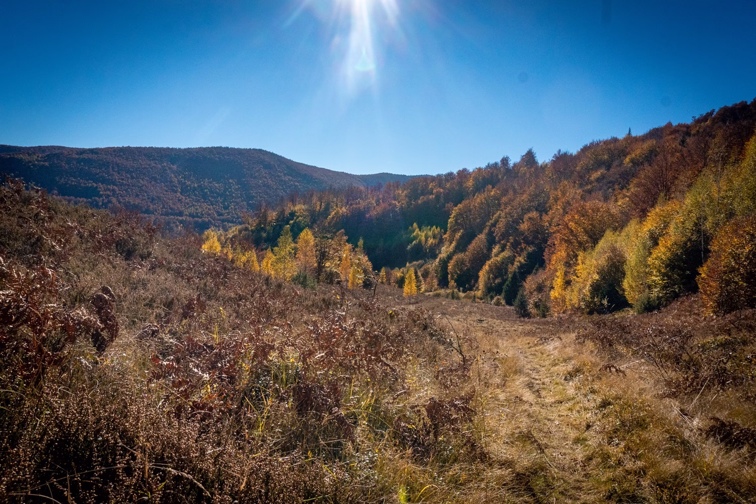 Закордонні Карпати