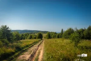 Карпати 2025-www.yarekfoto.co.ua