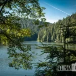 Колочава та Синевирська Поляна серед найкращих туристичних сіл світу