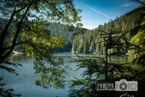 Синевирська Поляна
