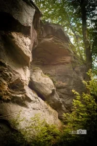 yamelnytsya_2