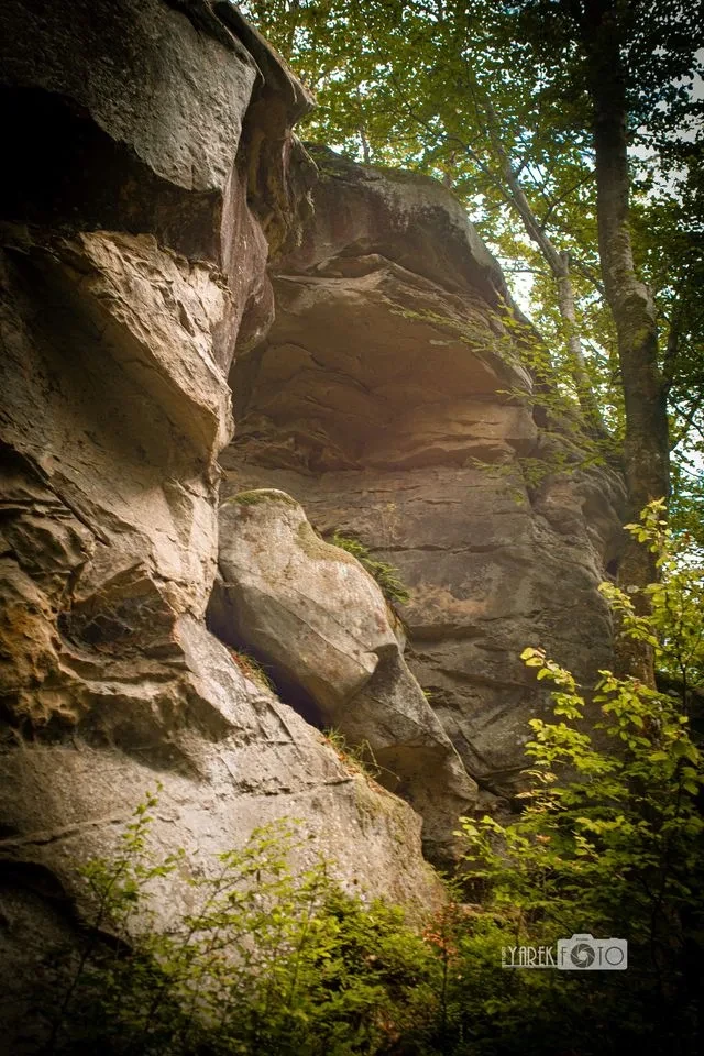 yamelnytsya_2