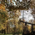 Борислав розвиватиме туризм та лісове господарство за кошти ЄС