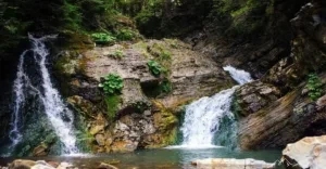 news-bukovyna-marshrut