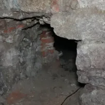 news-franek-underground