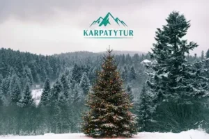 karpatytur_new_year