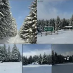 НПП «Черемоський» запрошує в зимові Карпати