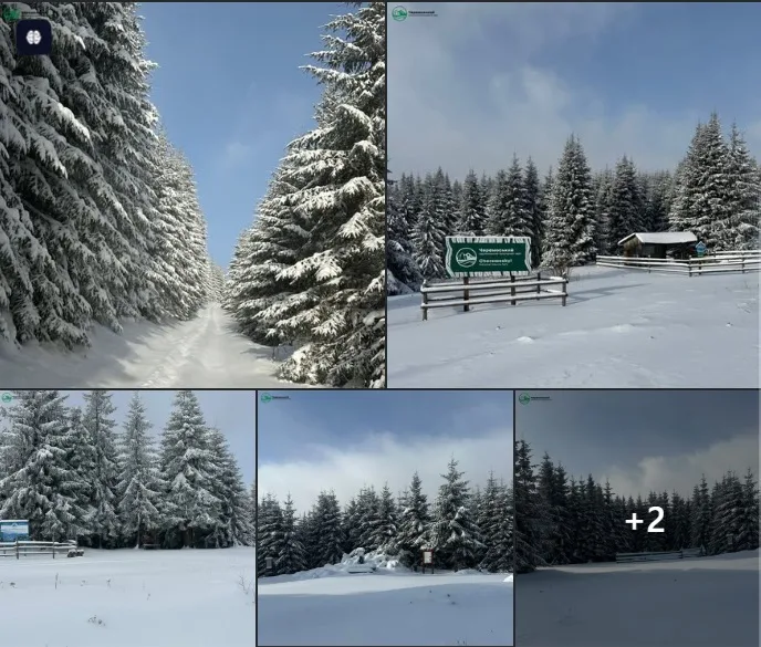 news-npp-cheremoskiy