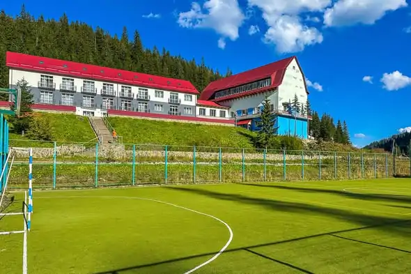 zaroslyak