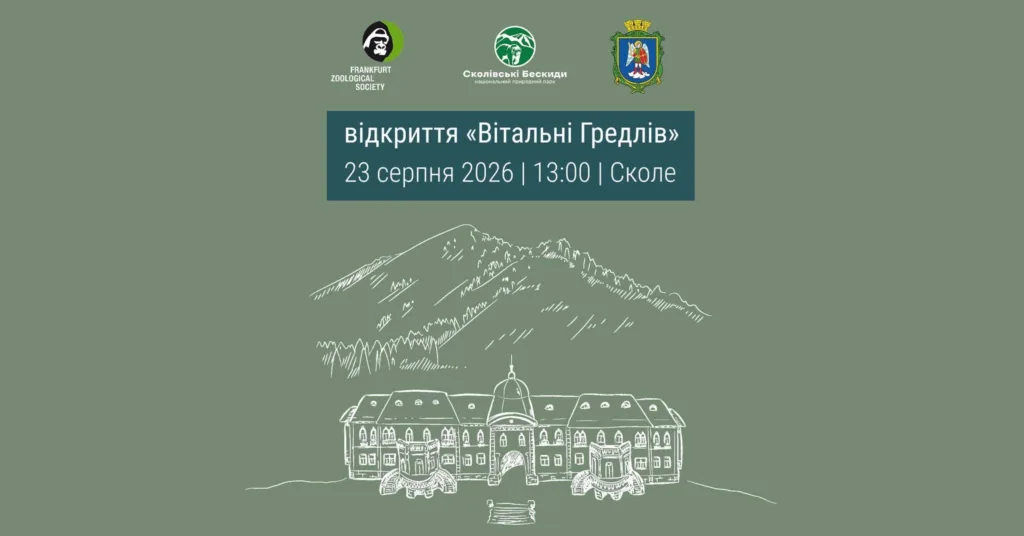 news-palac-gredliv